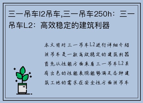 三一吊车l2吊车,三一吊车250h：三一吊车L2：高效稳定的建筑利器