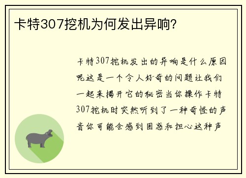 卡特307挖机为何发出异响？
